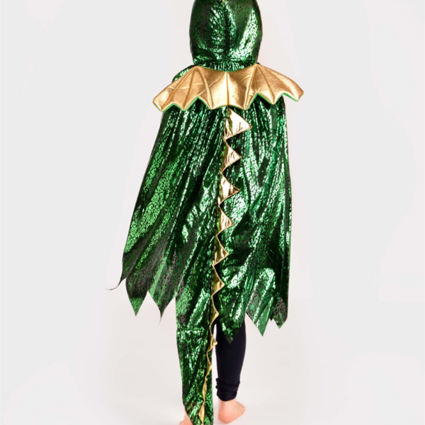 Den Goda Fen | Dragekappe - Grøn/Guld, str. 3-8 år