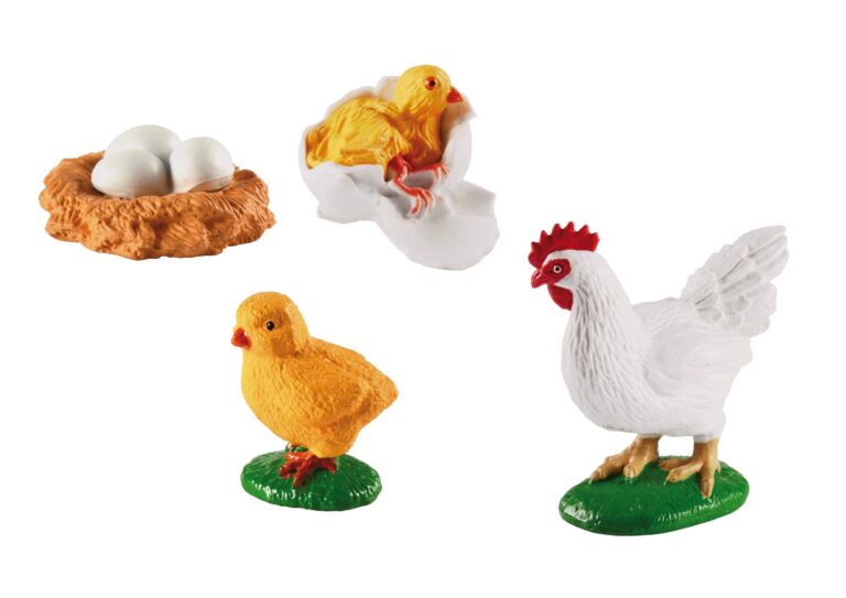 Eduplay | Livscyklus - Fra æg til høne