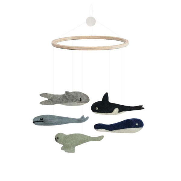 Gamcha Uro med Hvaler