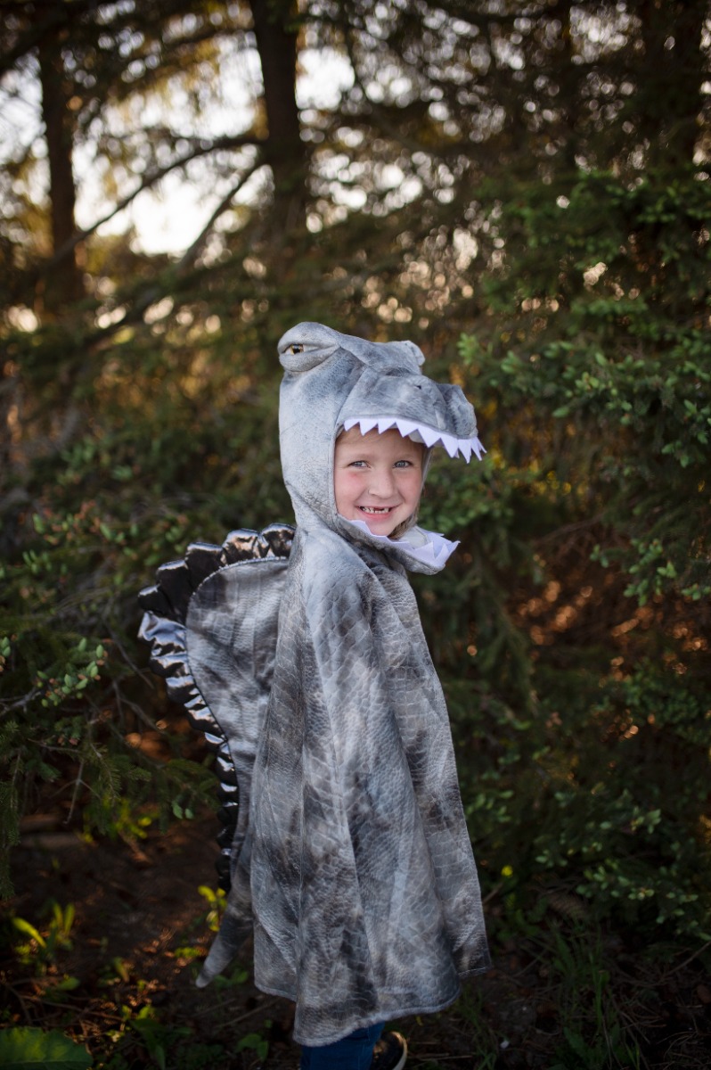 Great Pretenders | Spinosaurus, str. 4-6 år