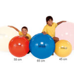 Gymnic | Gymnastikbold 55cm rød