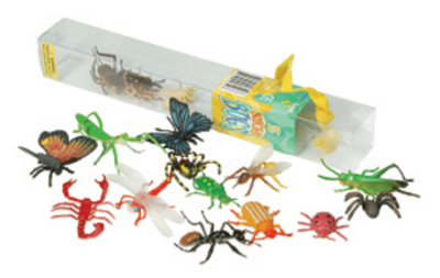 InsectLore | Alverdens insekter