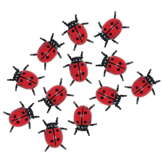 InsectLore | Mariehøns, 12 stk