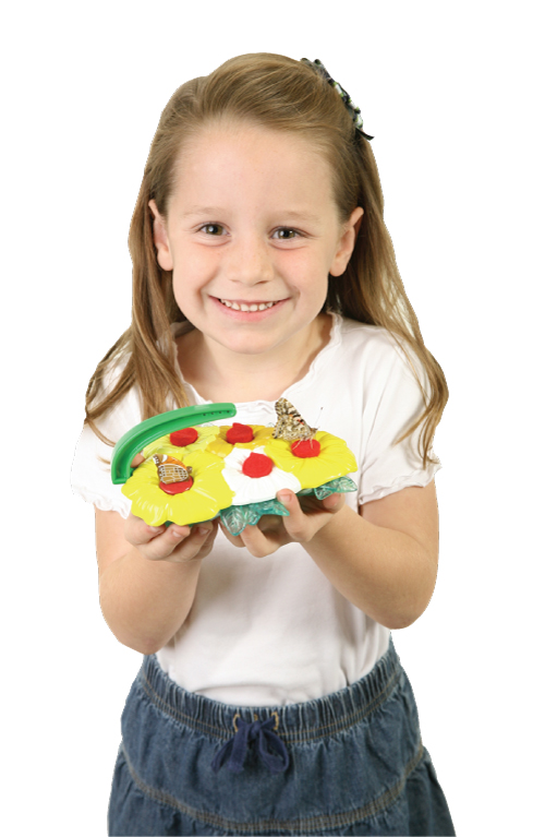 InsectLore | Sommerfuglelokker