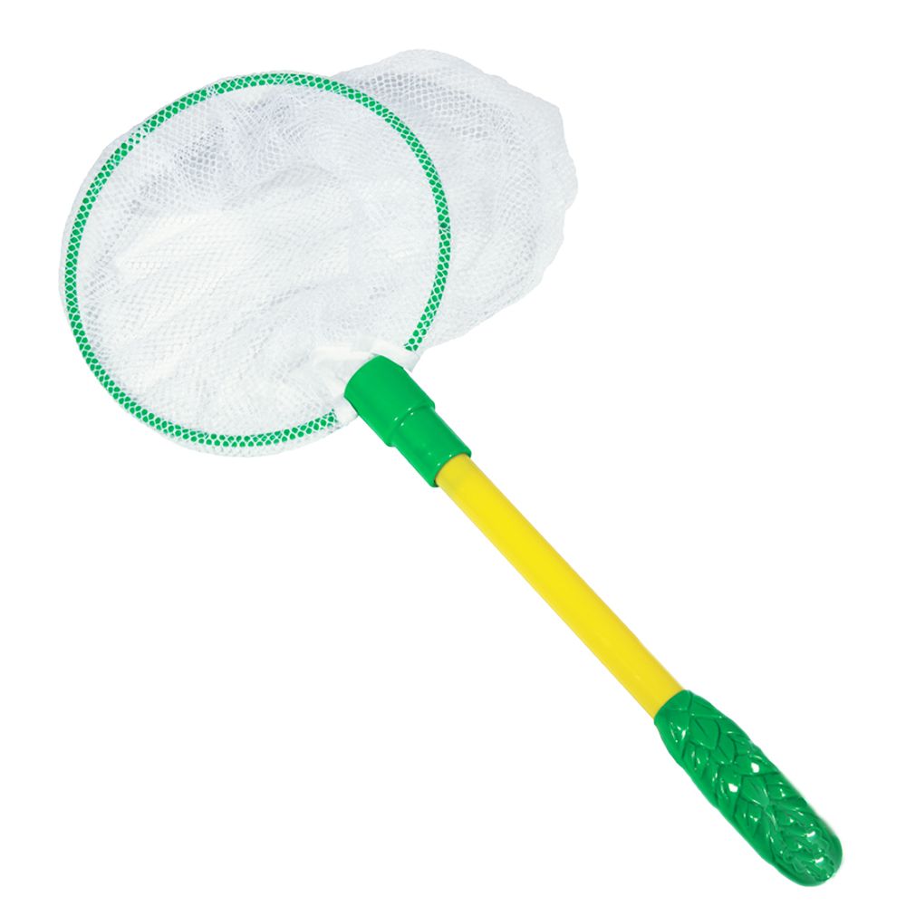 InsectLore | Sommerfuglenet