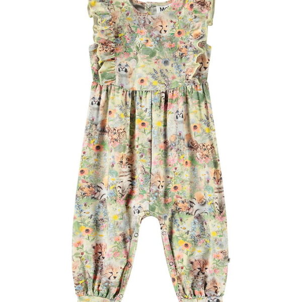 Molo Heldragt - Fallon - Meadow Cubs