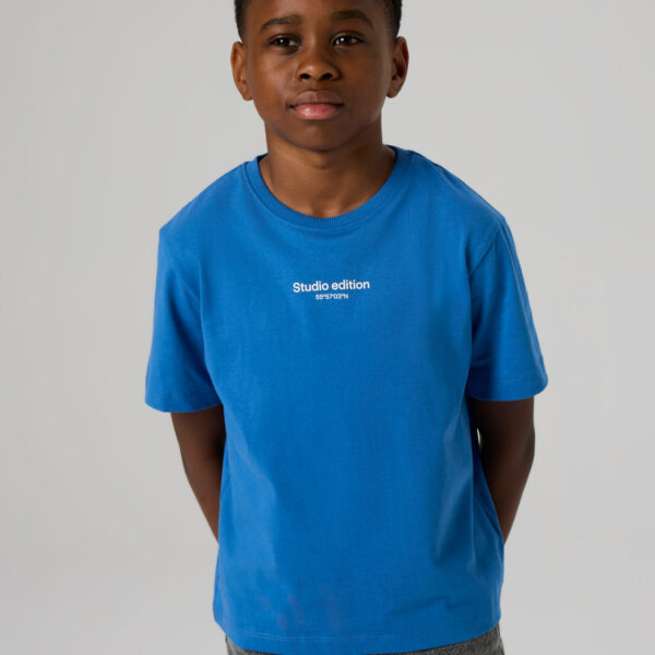 NAME IT Basis T-shirt Brody Delft