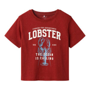 NAME IT T-shirt Fabi Red Ochre