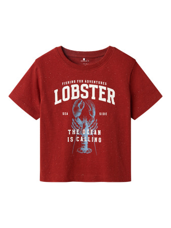 NAME IT T-shirt Fabi Red Ochre