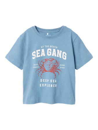 NAME IT T-shirt Fabi Spring Lake