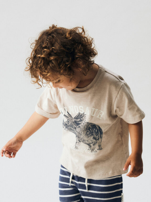 NAME IT T-shirt Feath Chateau Gray