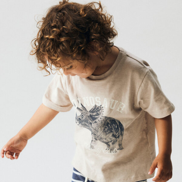 NAME IT T-shirt Feath Chateau Gray