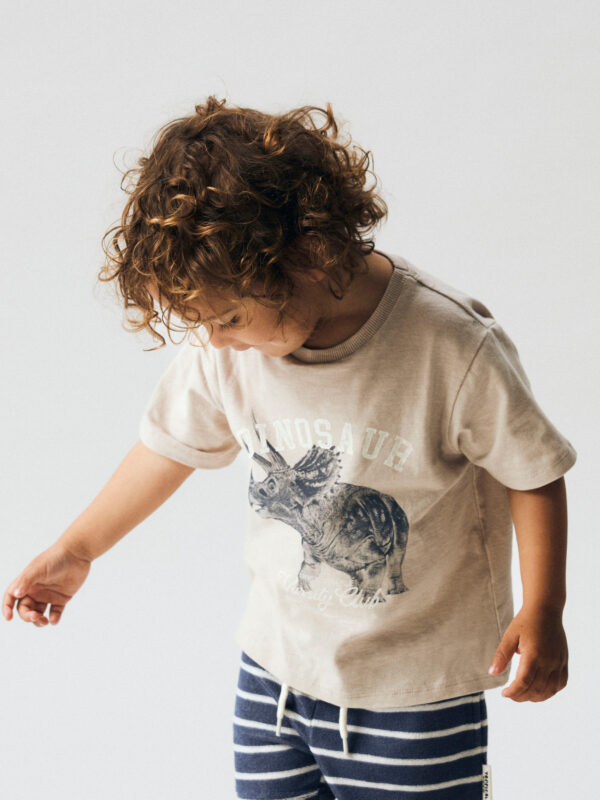 NAME IT T-shirt Feath Chateau Gray