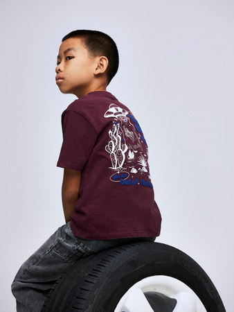 NAME IT T-shirt Karlo Fig