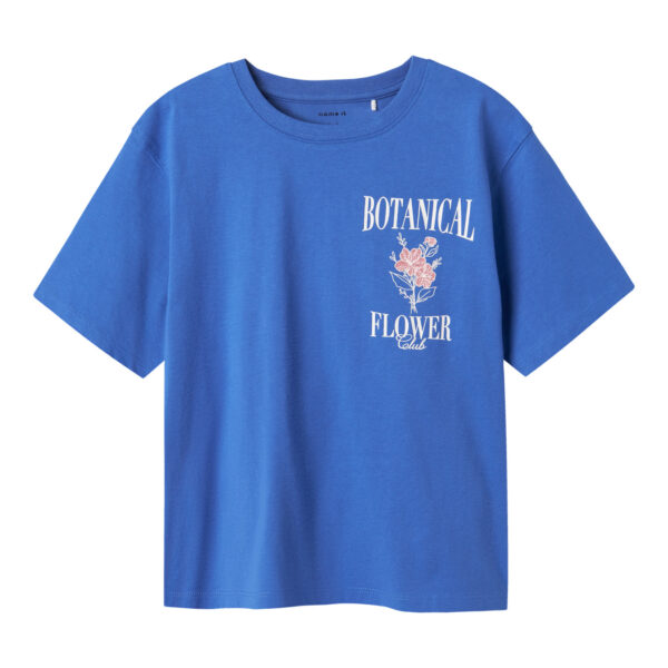 NAME IT T-shirt Nyttana Amparo Blue