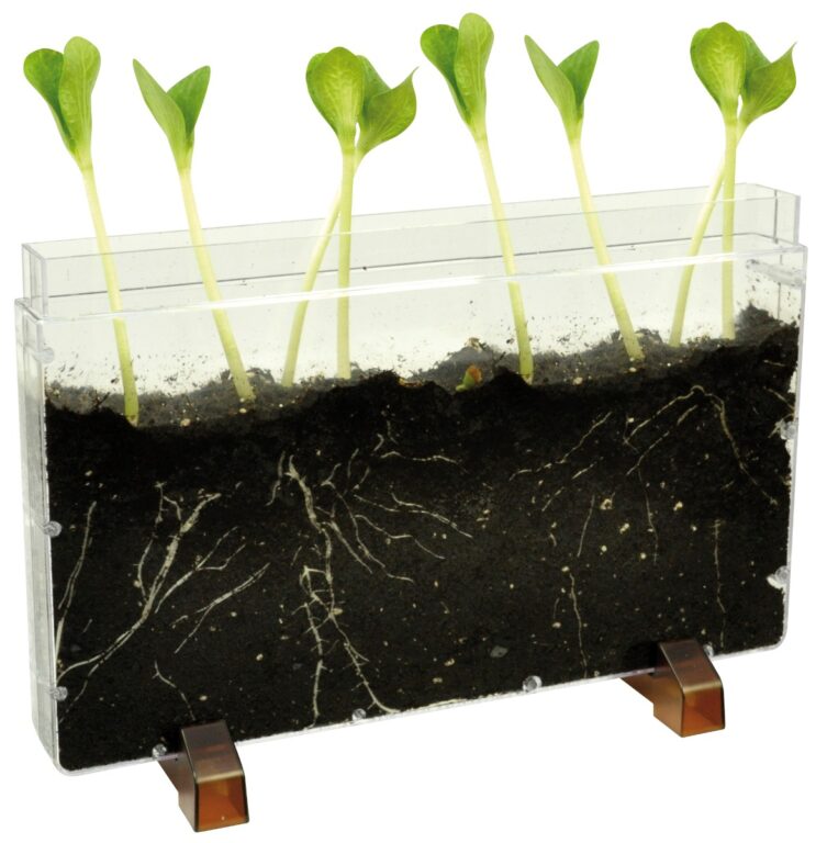 Observationskasse - Orme/Rødder