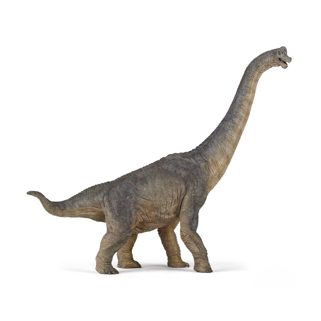 Papo | Brachiosaurus