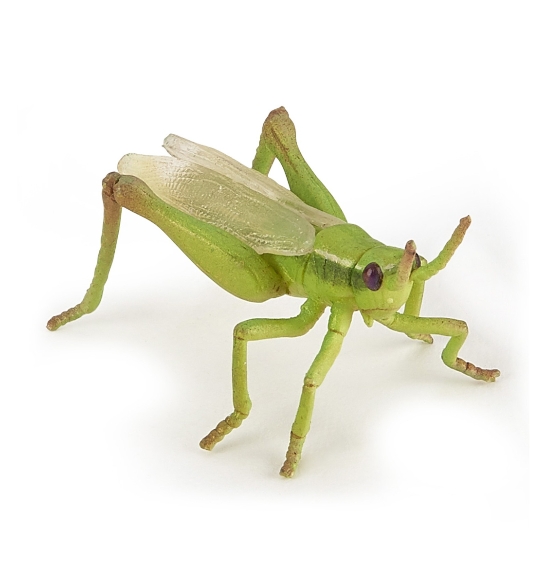 Papo | Græshopper