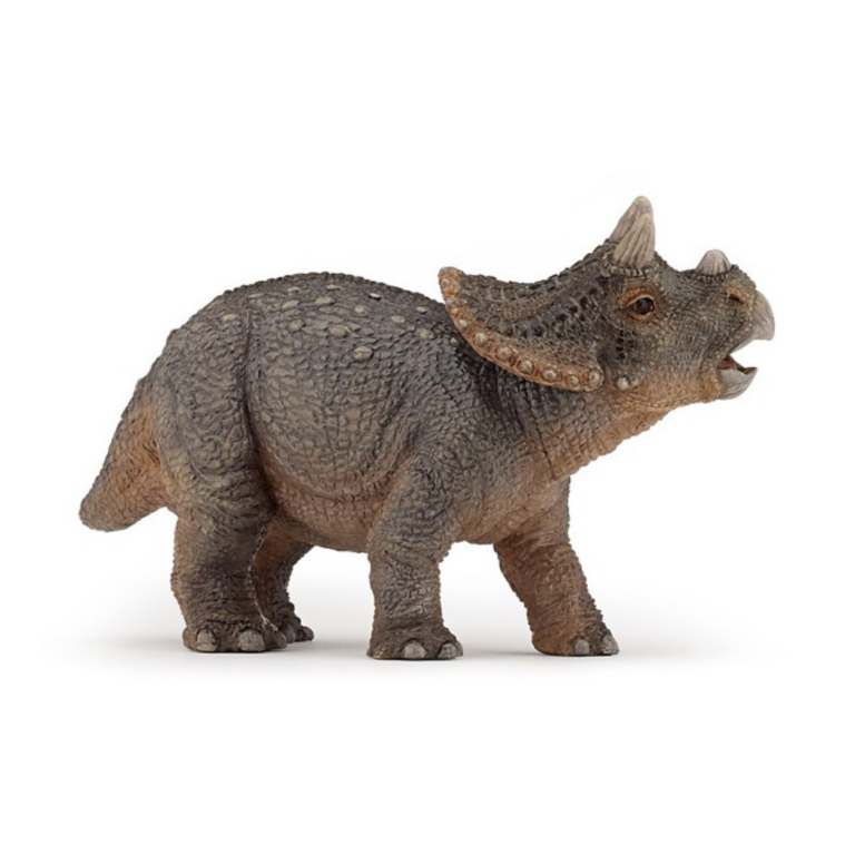 Papo | Triceratops unge
