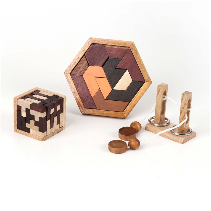 Robetoy | Mensa IQ puslespil - 3-i-1 Brain Bogglers