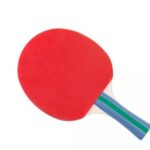 Spordas | Bordtennisbat - Øvet, 1 stk.