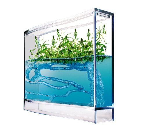 T.A.O.S | Myreakvarium med planter