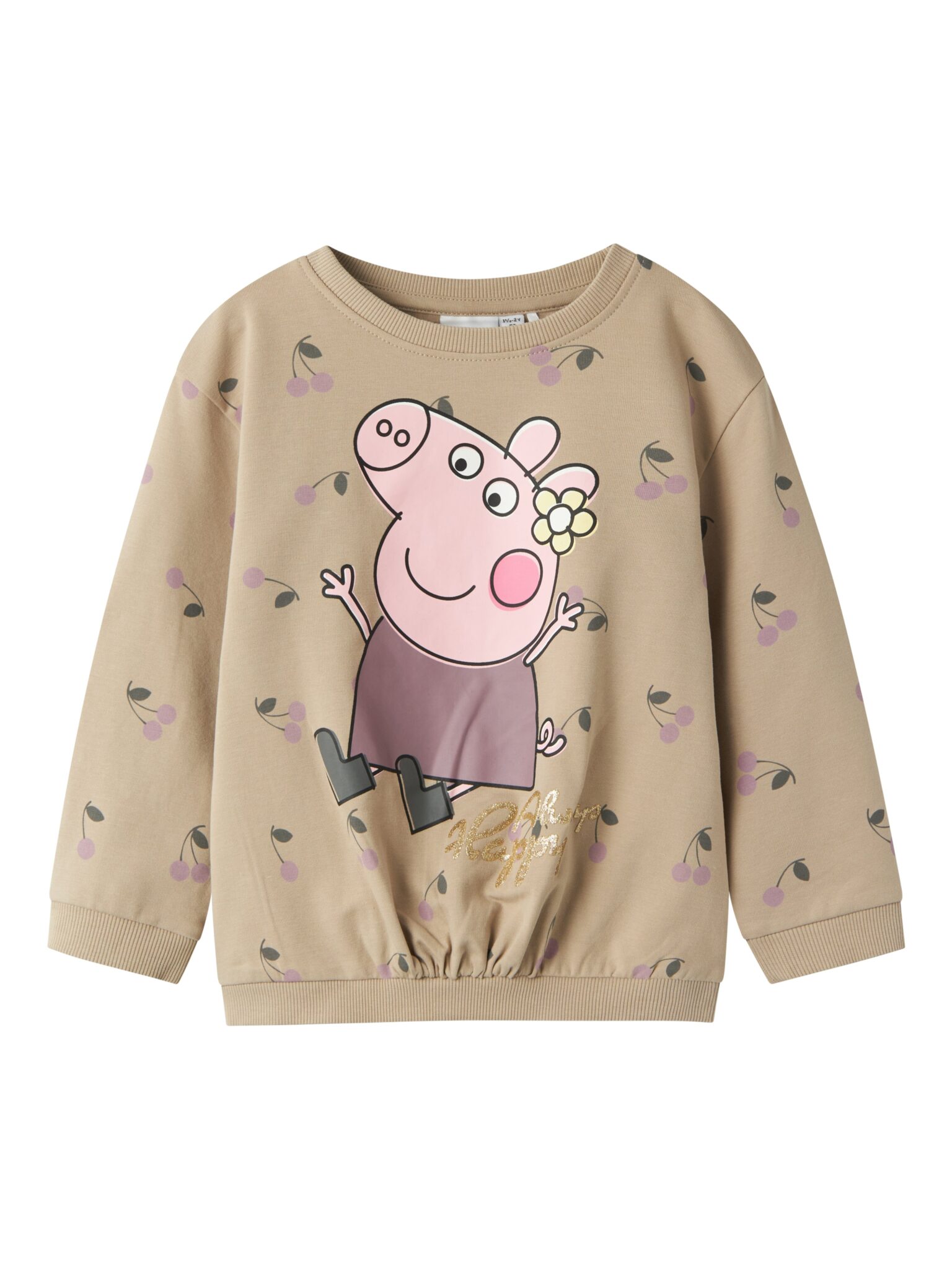 Name It Damma Gurli Gris Sweatshirt - Pure Cashmere - 92 cm Name It Damma Gurli Gris Sweatshirt - Pure Cashmere - 92 cm