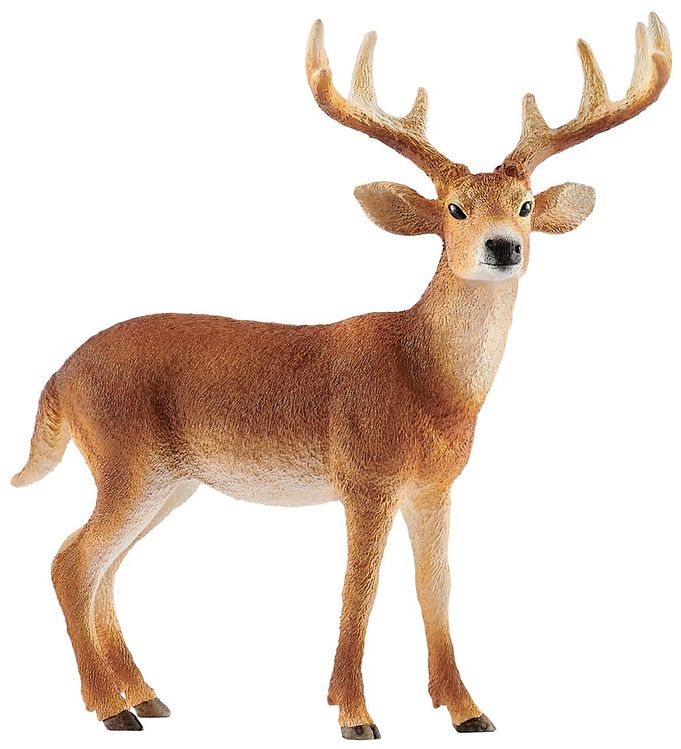 Schleich Dyr - Virginiahjort Buk