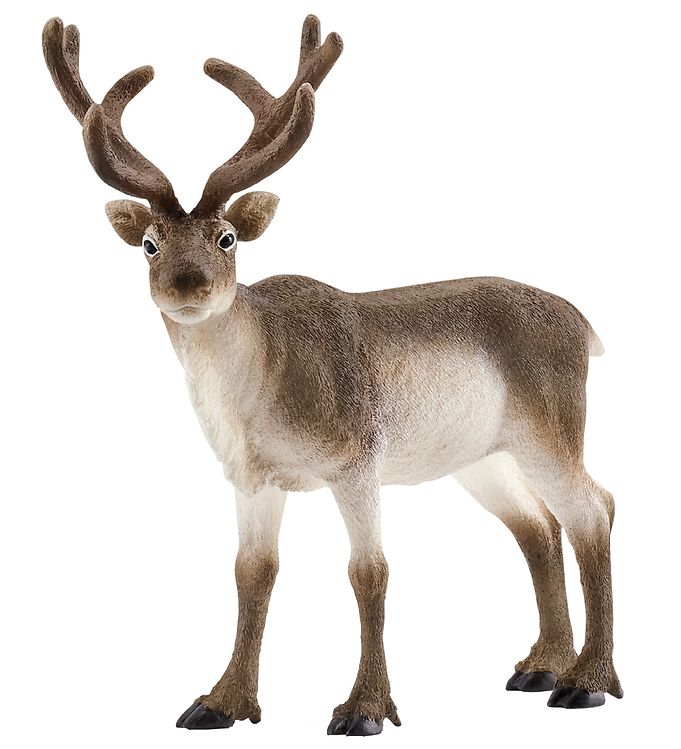 Schleich Dyr Schleich Dyr