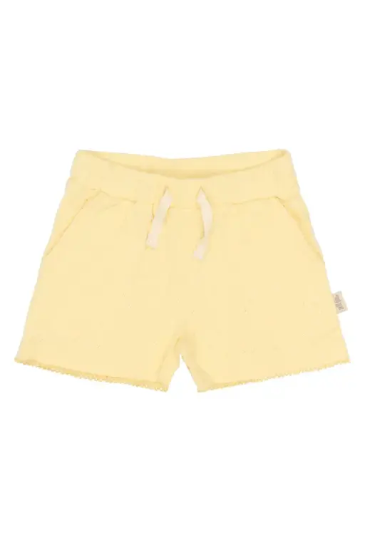 Suze Pointelle Shorts - Mellow Yellow - 86
