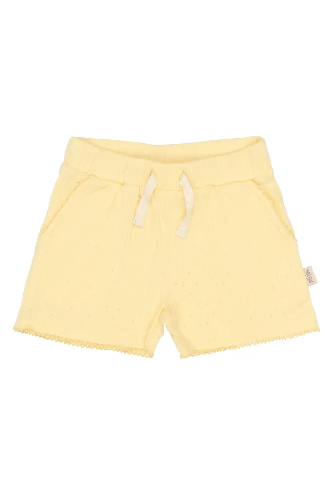 Suze Pointelle Shorts - Mellow Yellow - 86