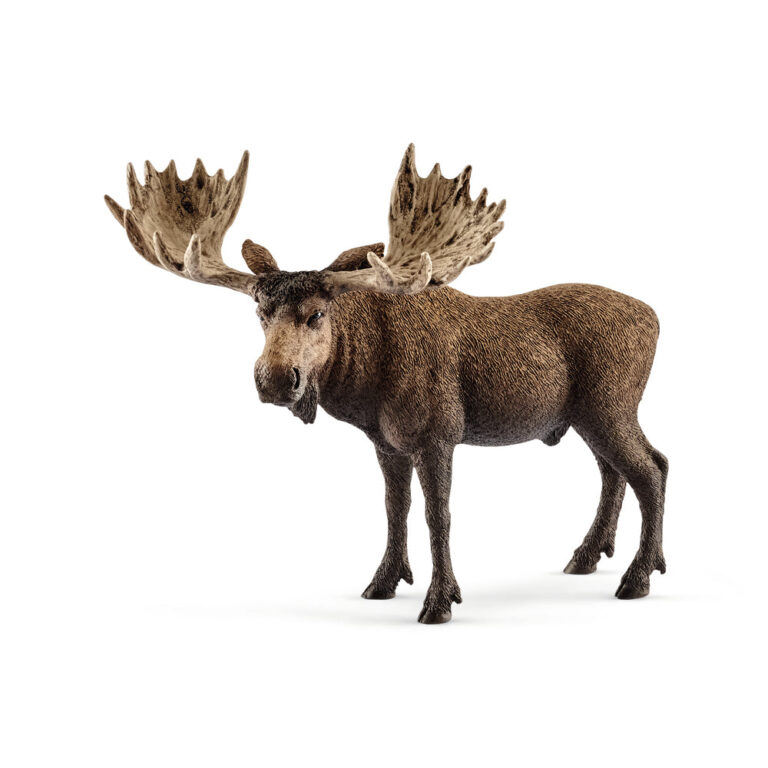 schleich Eltyr schleich Eltyr