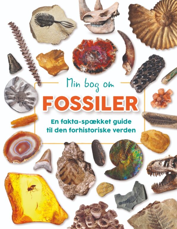 Forlaget Bolden | Min bog om fossiler