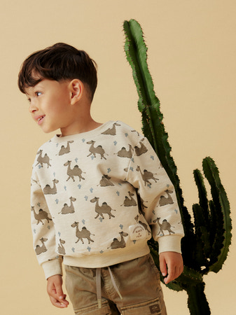 NAME IT Sweatshirt Jano Peyote