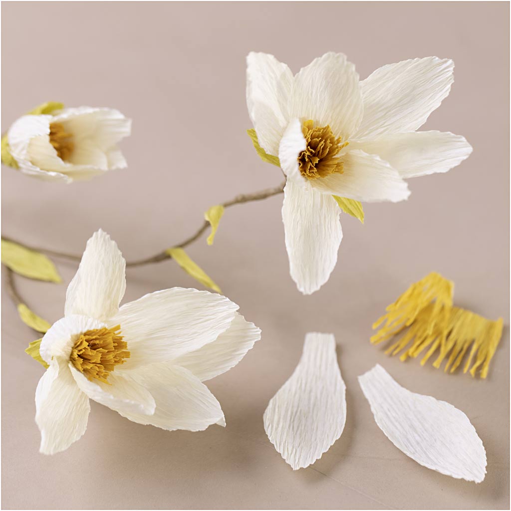 Creativ Company | Crepepapir mini - Magnoliagren