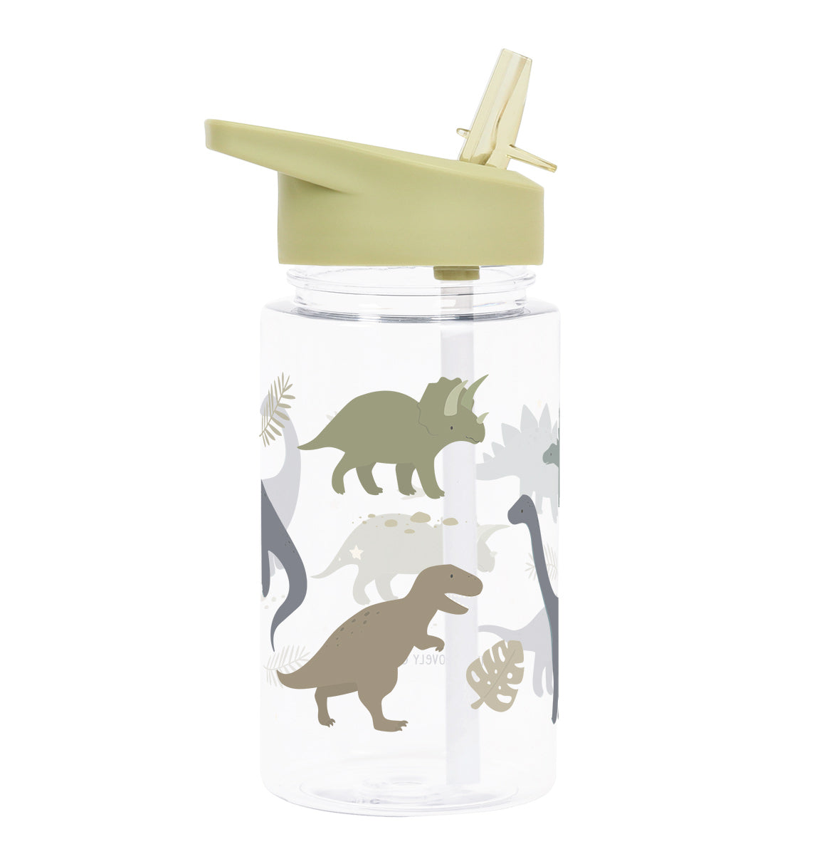 Drink Bottle - Dinosaurs