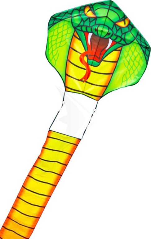 HQ | Drage - Cobra Dragon / 10 m. hale