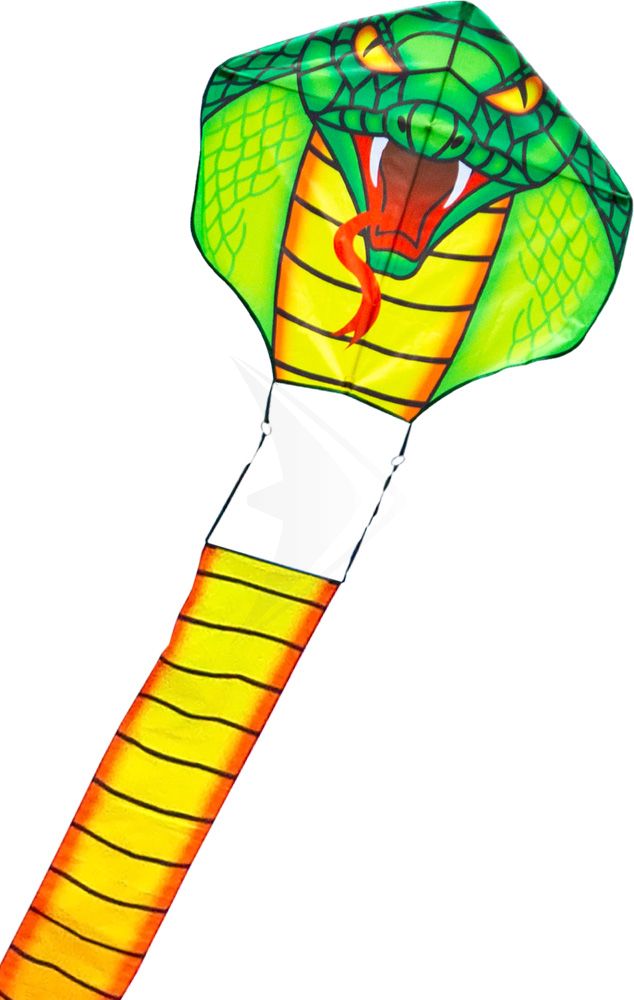 HQ | Drage - Cobra Dragon / 10 m. hale