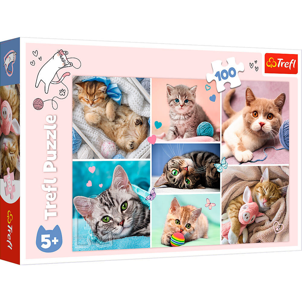 In the Cat World 100 brikker