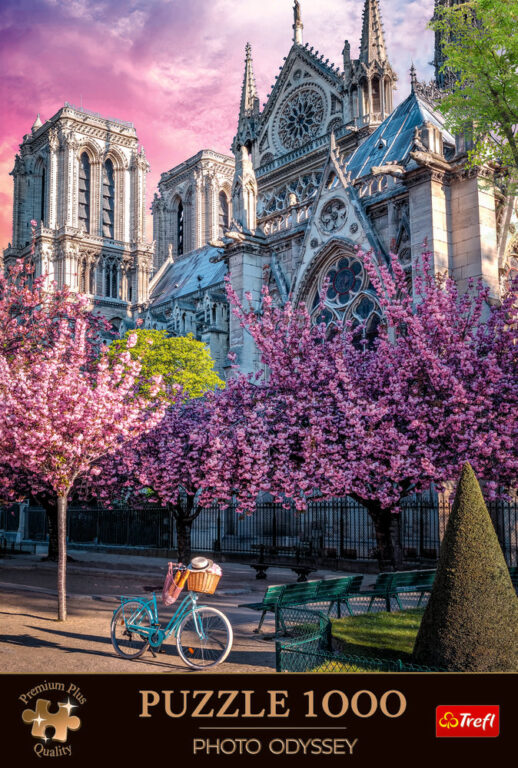 Notre Dame Cathedral of Paris 1000 brikker