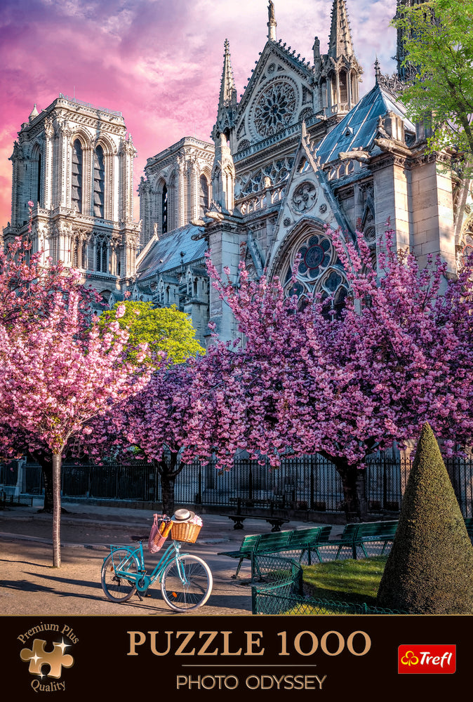 Notre Dame Cathedral of Paris 1000 brikker