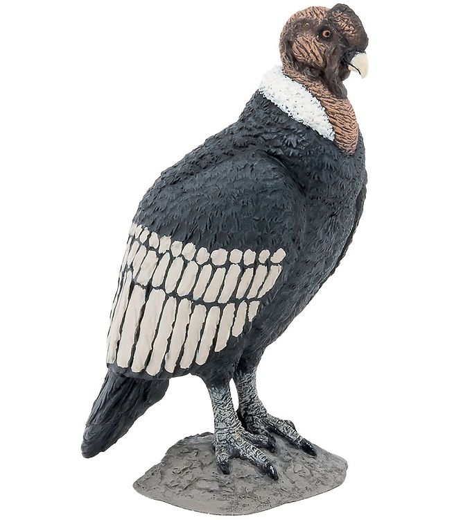 Papo Condor Papo Condor