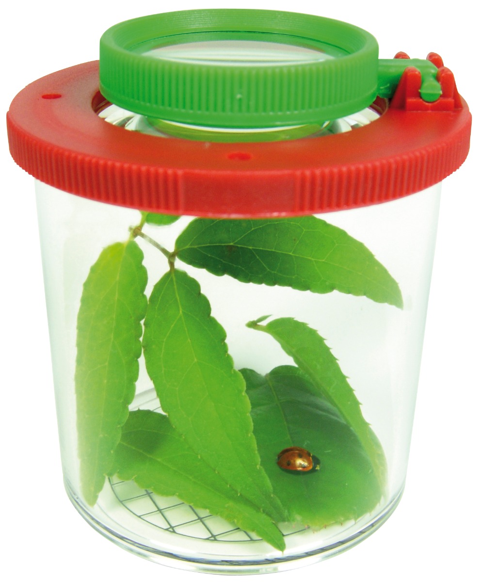 Eduplay | Insektglas med forstørrelsesglas, Ø 6 cm.