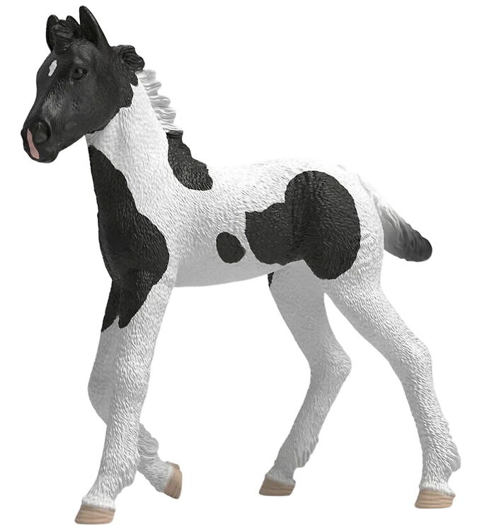 Schleich Horse Club - 9 cm - Collectible Foal - Rocky - 81481
