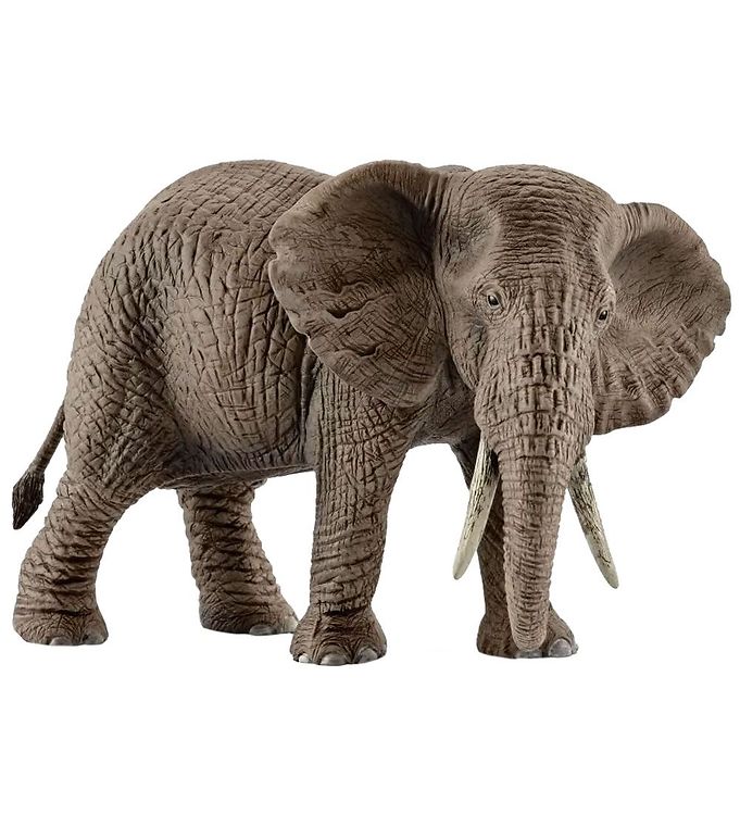 Schleich Wild Life Schleich Wild Life